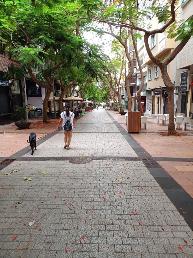 Center Santa Cruz, Alojamiento Centrico Con Gran Terraza, Cocina , Salon Y Banos, Todo Privado エクステリア 写真