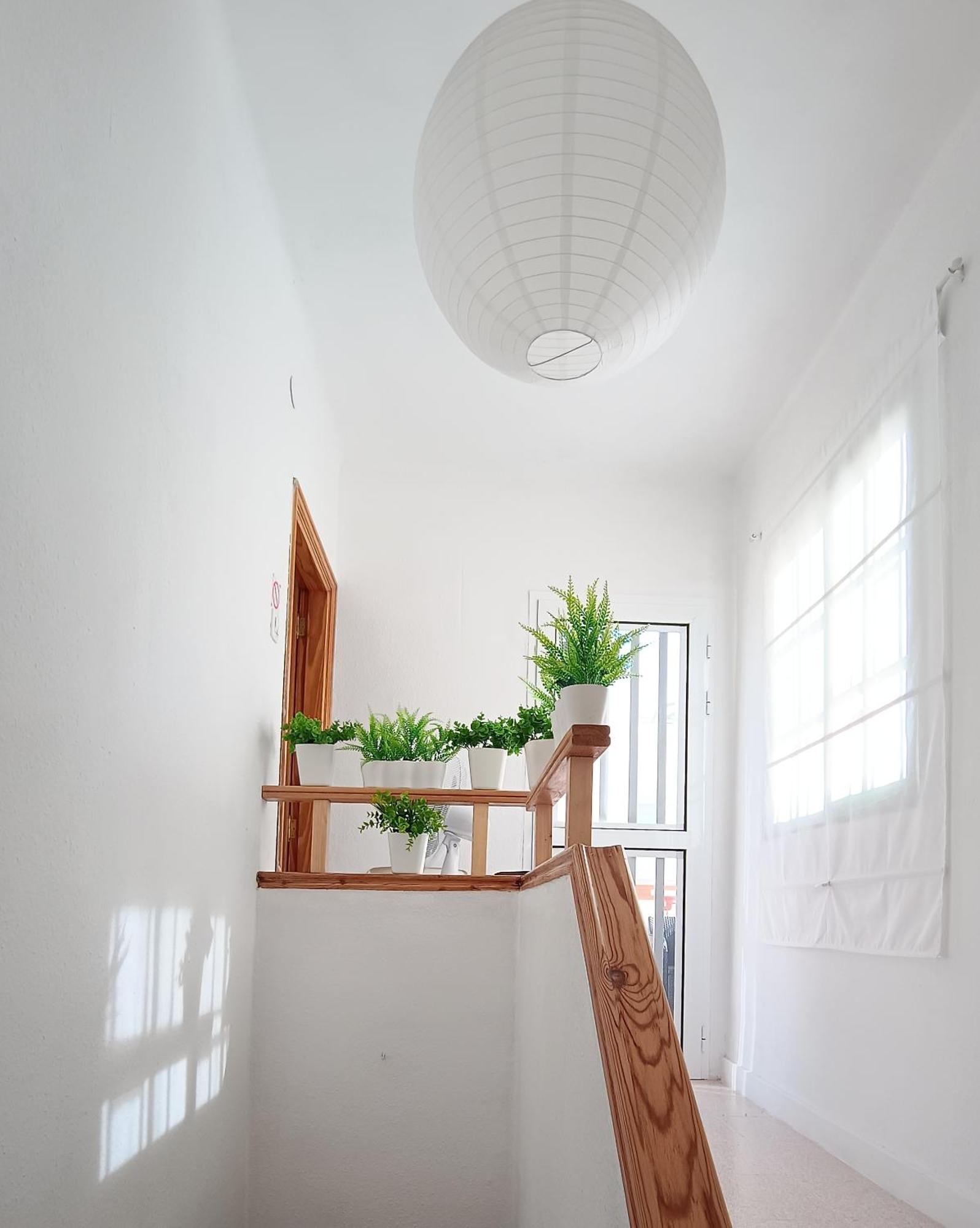 Center Santa Cruz, Alojamiento Centrico Con Gran Terraza, Cocina , Salon Y Banos, Todo Privado エクステリア 写真