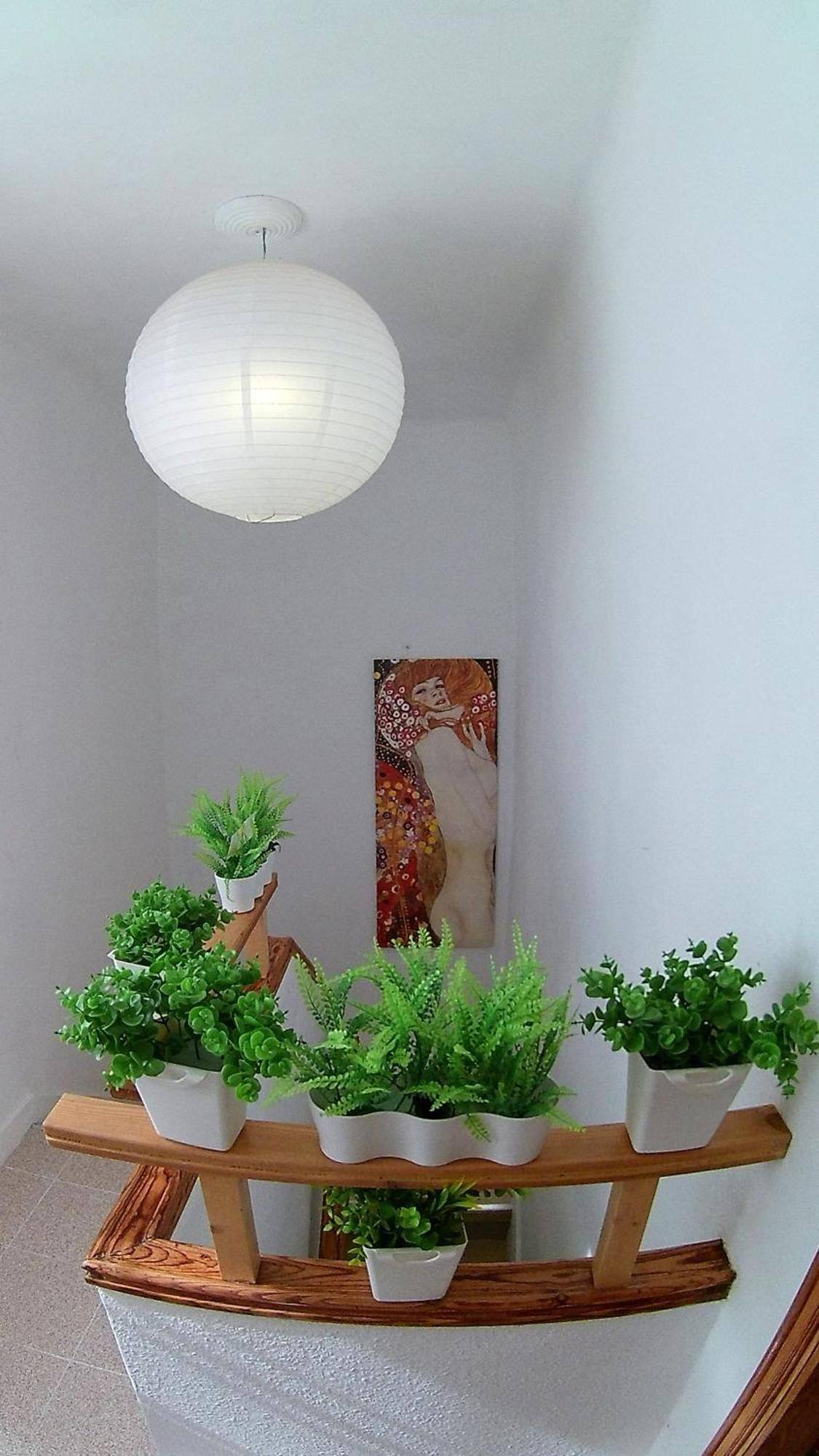 Center Santa Cruz, Alojamiento Centrico Con Gran Terraza, Cocina , Salon Y Banos, Todo Privado エクステリア 写真